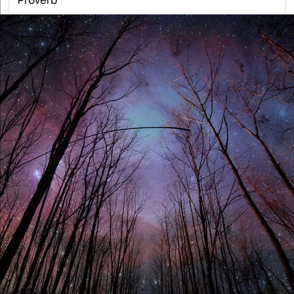 ☘️ALL PRICES NEGOTIABLE ☘️ - Picture 7 of 8